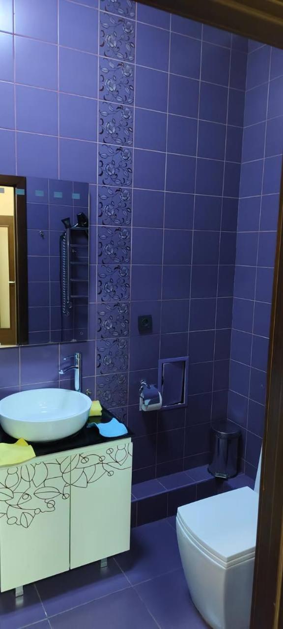 Nurly Tau 2Room Apartments 阿拉木图 外观 照片